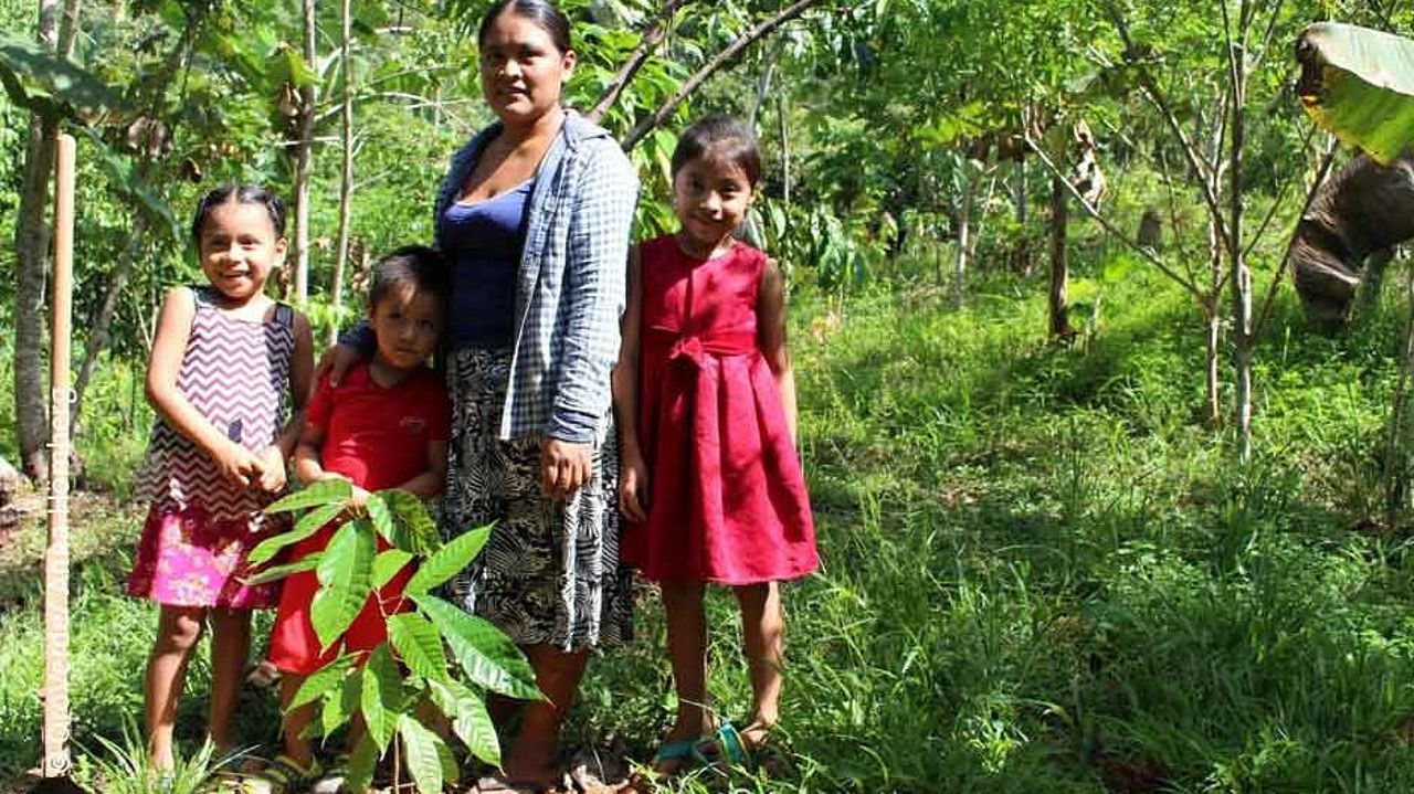 Nachhaltige Landwirtschaft garantiert den indigenen Familien ein sicheres Einkommen. ©OroVerde