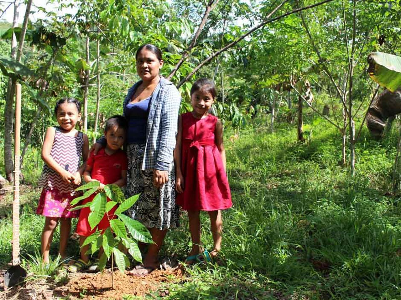 Nachhaltige Landwirtschaft garantiert den indigenen Familien ein sicheres Einkommen. ©OroVerde