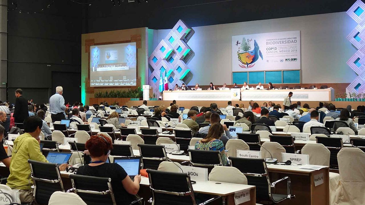 Konferenz zur Biodiversität in Mexiko 2016