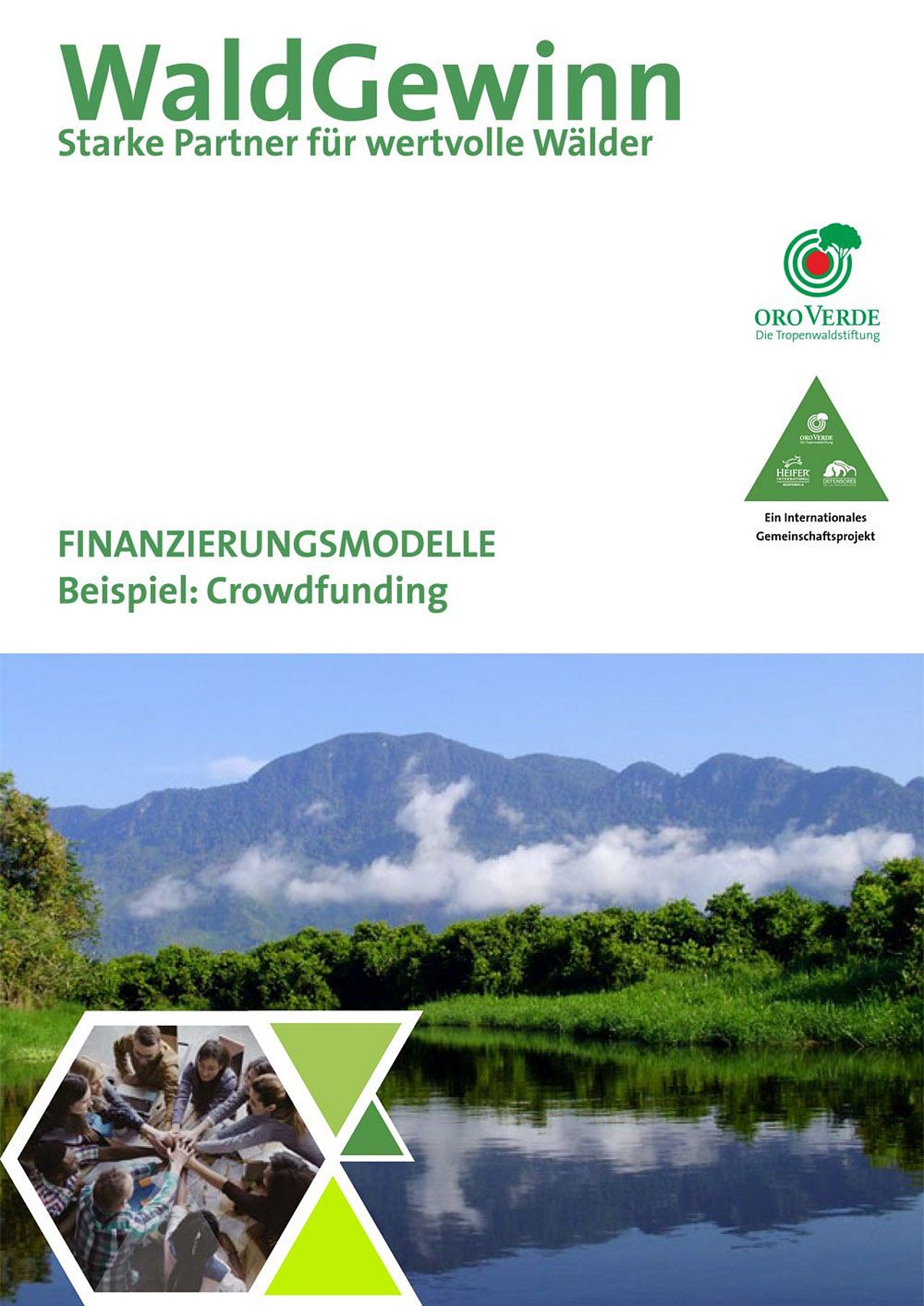 Finanzierung von Wald-Wiederaufbau durch Crowdfunding