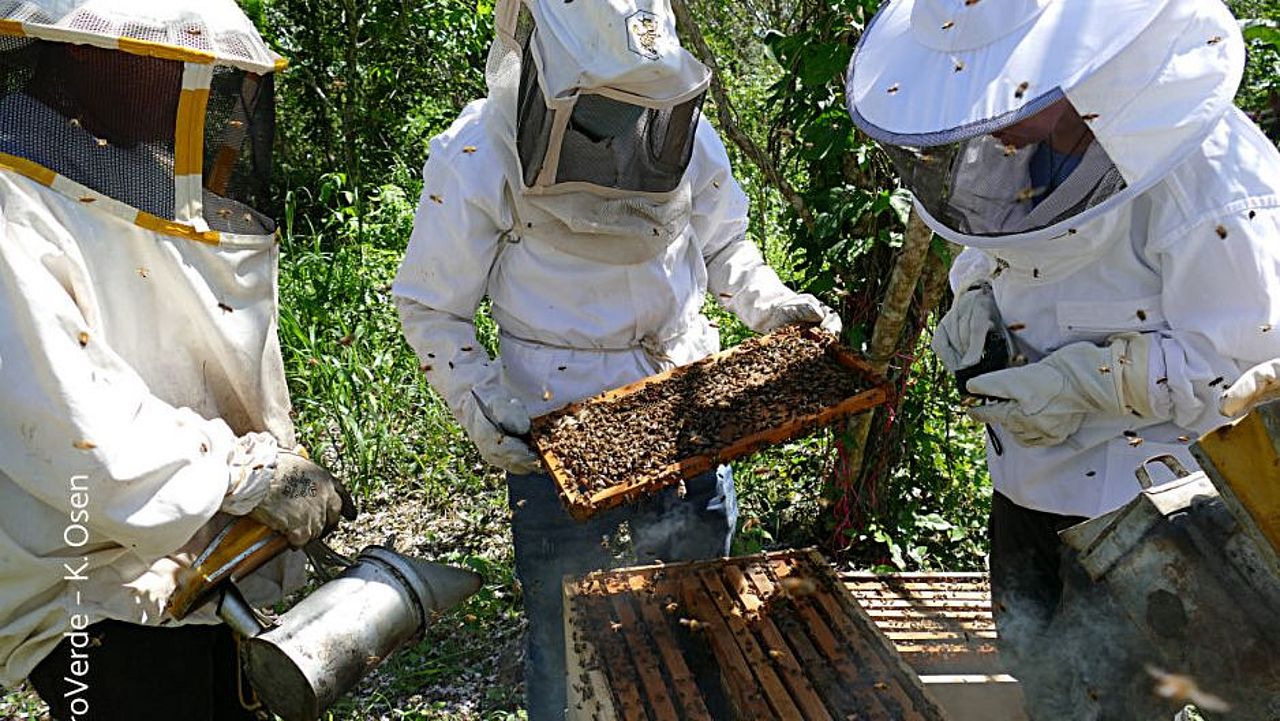Drei junge Erwachsene arbeiten in Imkerei ©OroVerde – K. Osen