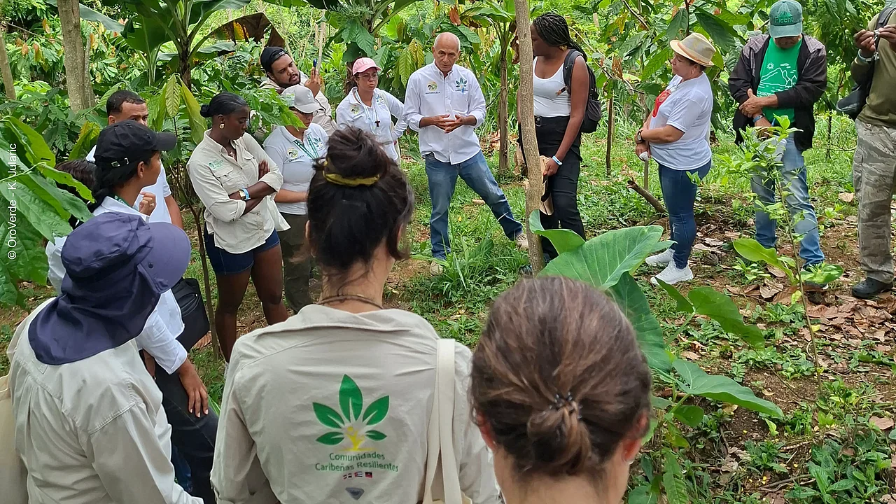 Exkursion auf der Finca „Piso Verde“ während des KlimaWald-Jahrestreffens.