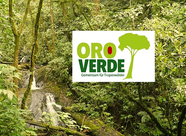 Neues OroVerde-Logo ab September 2023