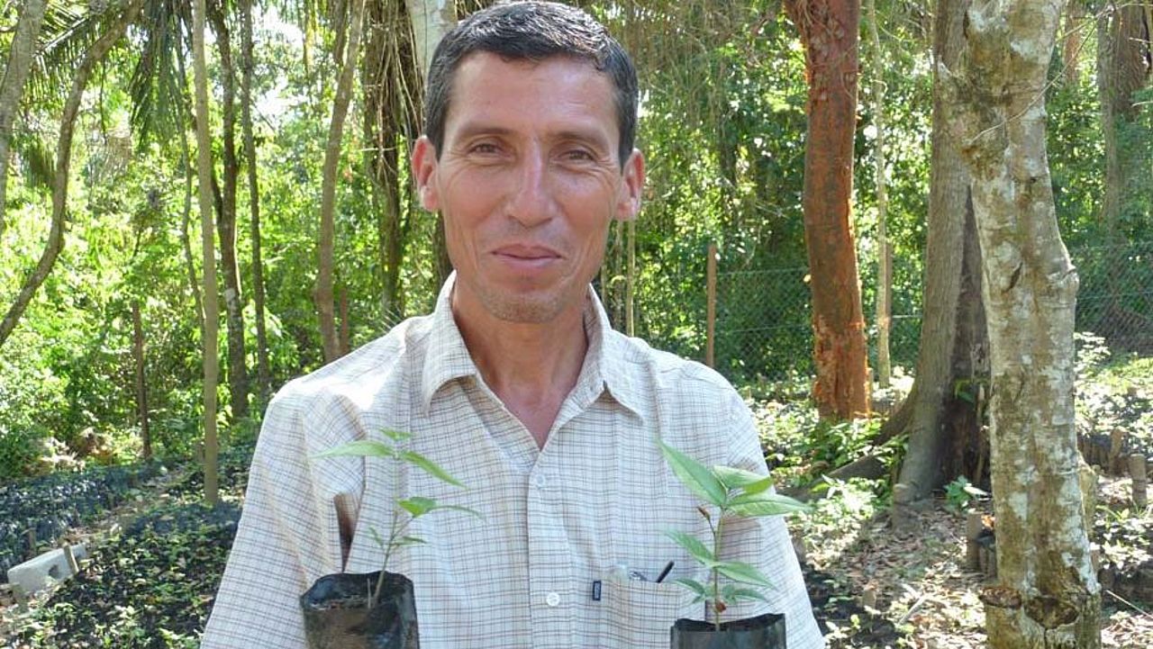 Regenwaldaufforstung in Guatemala
