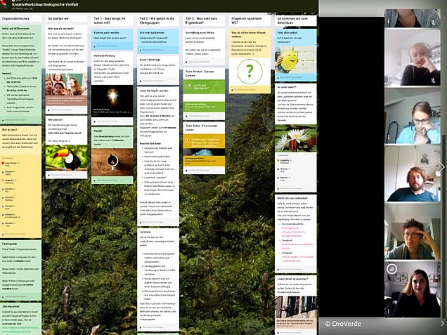 Padlet geteilt im Video Jitsi: Übersicht über die Themen des Workshops. Padlet geteilt im Video Jitsi: Übersicht über die Themen des Workshops.