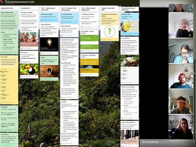 Padlet geteilt im Video Jitsi: Übersicht über die Themen des Workshops.