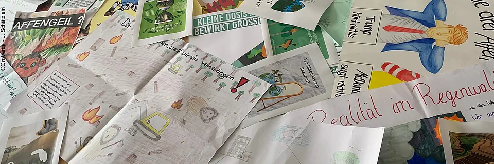Jährlich treffen zahlreiche Wettbewerbsideen bei OroVerde ein. Sie werden bis zum 31. Juli jedes Jahr gesammelt und anschließend einer Jury präsentiert. Die Ideen der Preisträger werden jeweils auf eine Postkarte gedruckt.