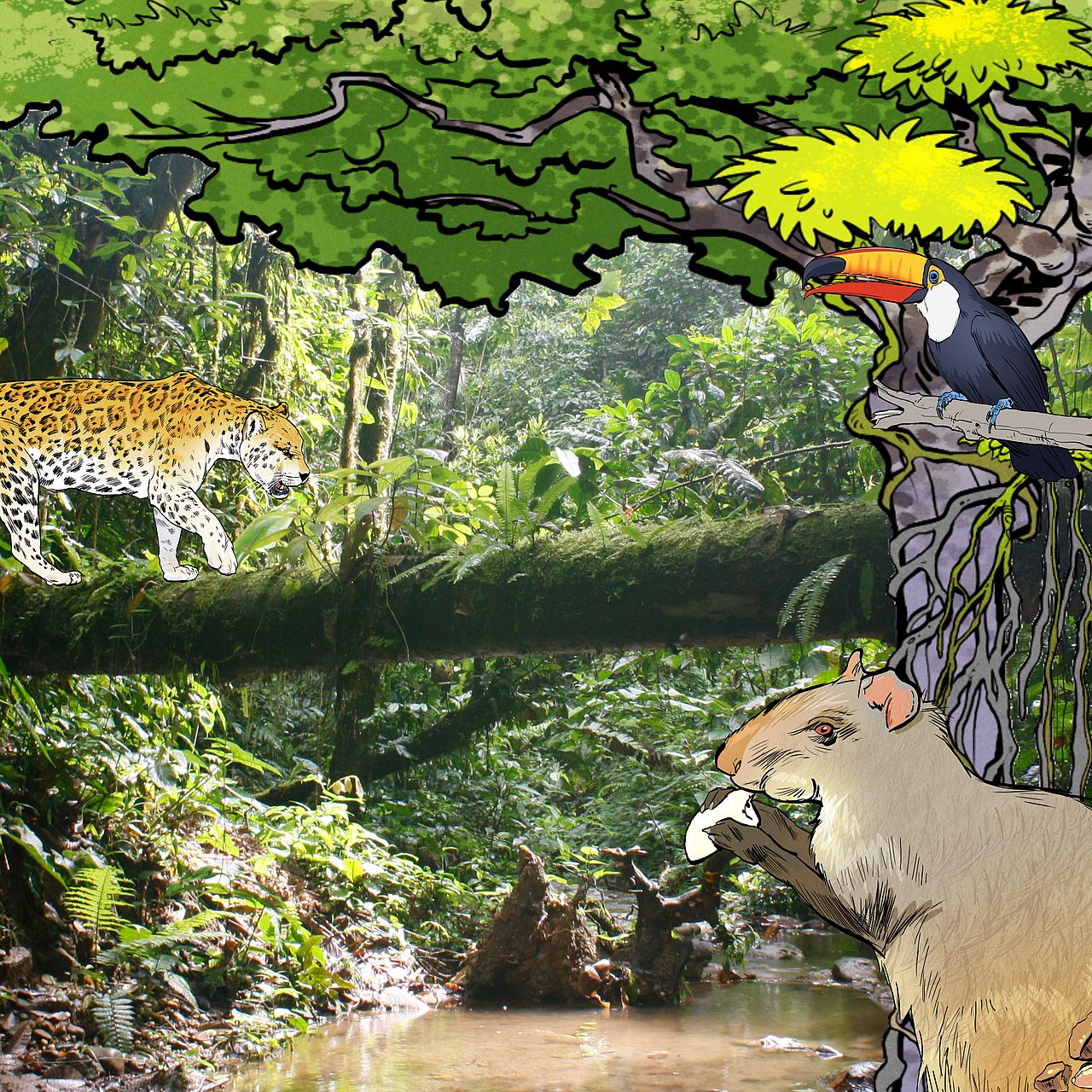 Foto des tropischen Regenwaldes mit illustrierten Tieren des tropischen Regenwaldes.