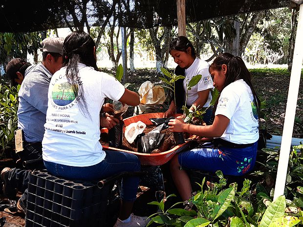 Regenwaldschutz als Umweltbildung in Guatemala: In der Baumschule werden neue Bäume für den Regenwald gezogen ©Teodilio Matias