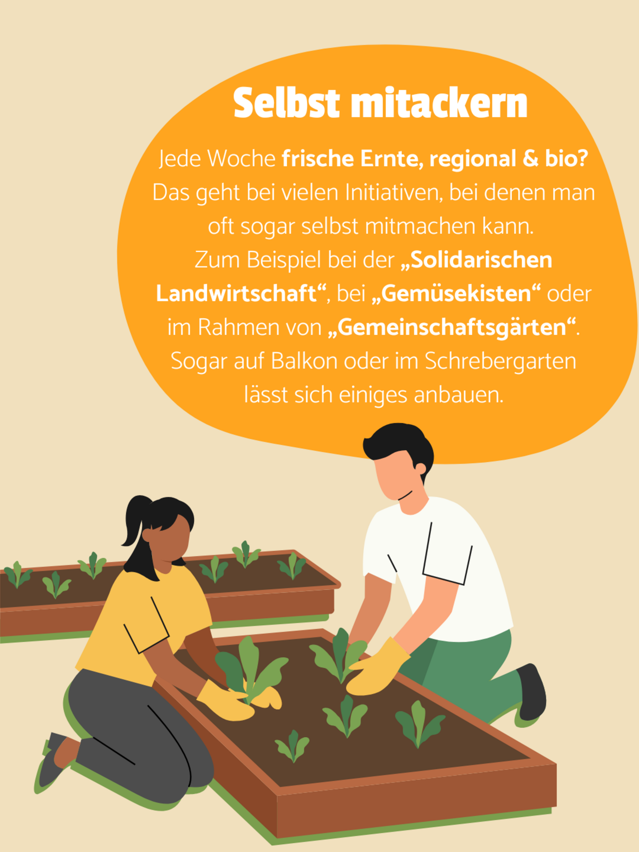 Zwei Personen sitzen an einem Beet und pflanzen Setzlinge ein. Beiger Hintergrund. In einer orangenen Blase steht: Selbst mitackern - Jede Woche frische Ernte, regional & bio? Das geht bei vielen Initiativen, bei denen man oft sogar selbst mitmachen kann.  Zum Beispiel bei der „Solidarischen Landwirtschaft“, bei „Gemüsekisten“ oder im Rahmen von „Gemeinschaftsgärten“. Sogar auf Balkon oder im Schrebergarten lässt sich einiges anbauen.