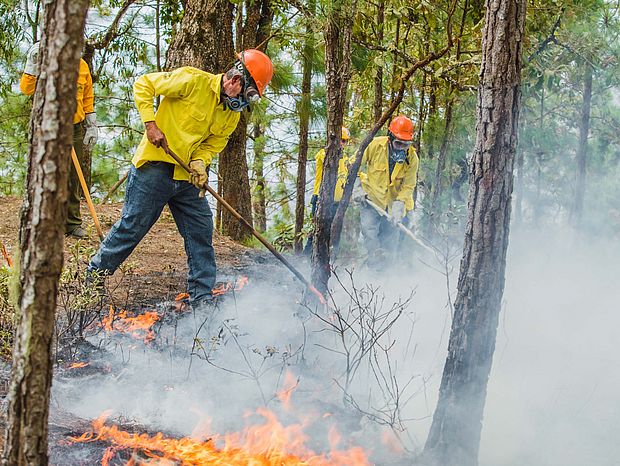 Brandschutztraining im Februar 2019 ©FDN