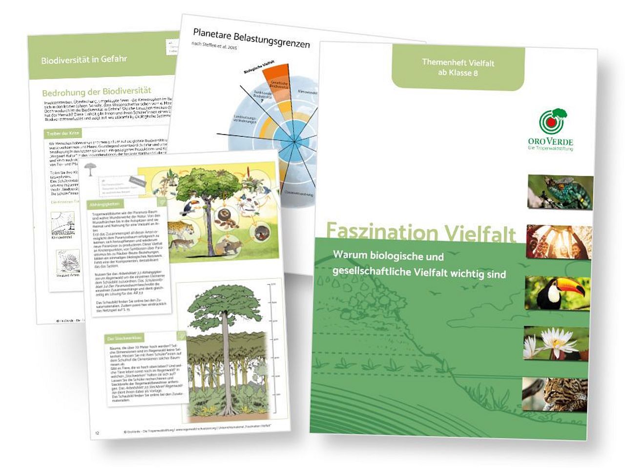 Auszug aus dem Themenheft "Faszination Vielfalt" mit Titelblatt und drei Seiten mit Unterrichtsideen. ©OroVerde