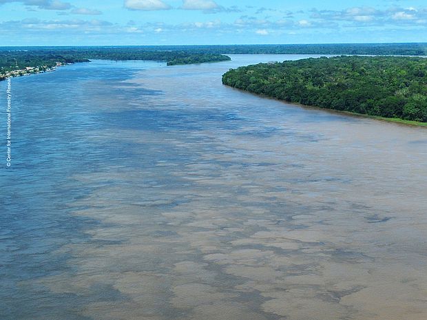 Verschiedene Amazonas-Wassertypen fließen nebeneinander ohne sich zu vermischen. ©Center for International Forestry Research