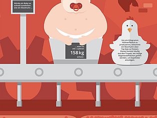 Wanderausstellung: Thema Fleisch & Soja 2 Wanderausstellung: Tafel 8