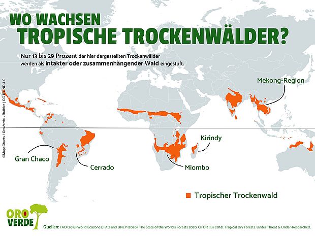 Eine Weltkarte, auf der die Verbreitung tropischer Trockenwälder abgebildet ist. Zu sehen ist unteranderem die grafische Darstellung des südamerikanischen Trockenwaldes Gran Chaco und der Cerrado-Region, der afrikanische Miombo, der Kirindy-Trockenwald auf Madagaskar und die Mekong-Region in Südostasien.