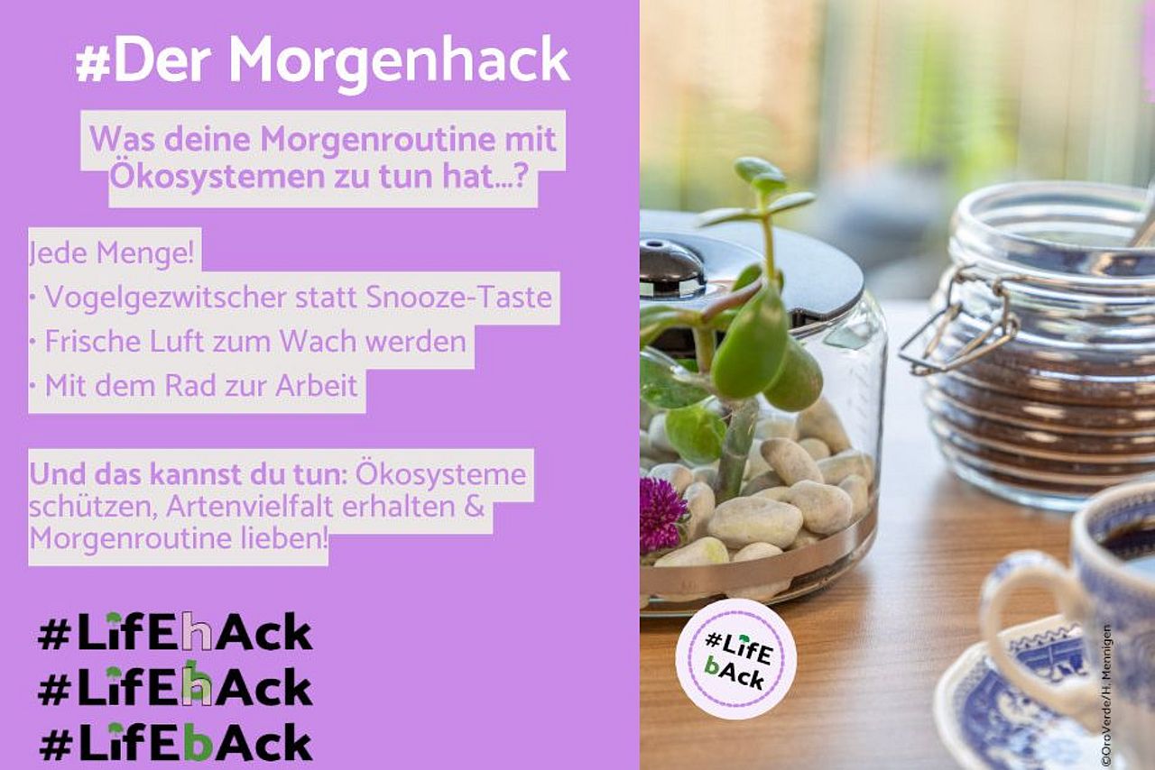 Lifehack Lifeback: Tipps für klimafreundlichen Alltag ©OroVerde Lifehack Lifeback: Tipps für klimafreundlichen Alltag ©OroVerde