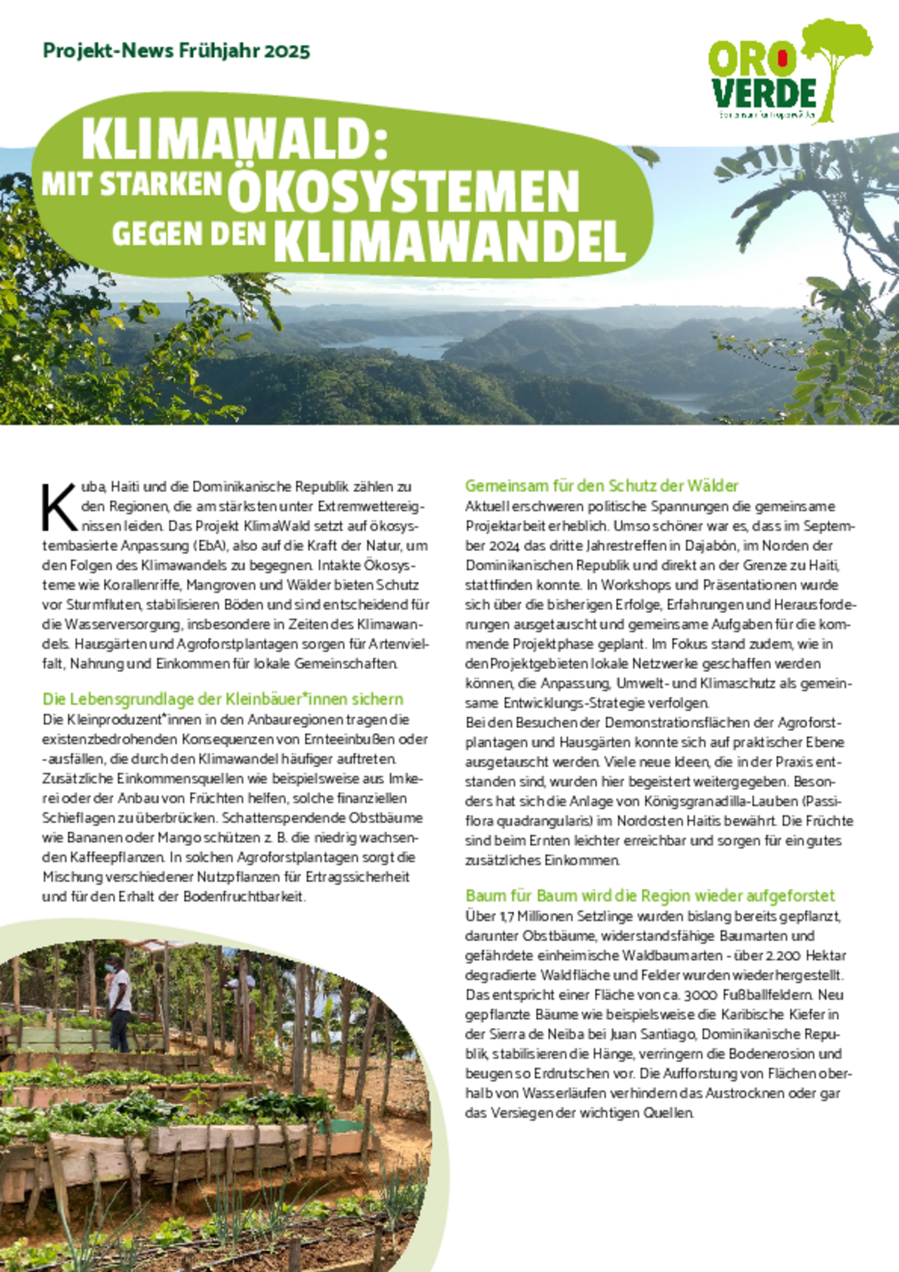 OroVerde Fortschrittsbericht KlimaWald 2025