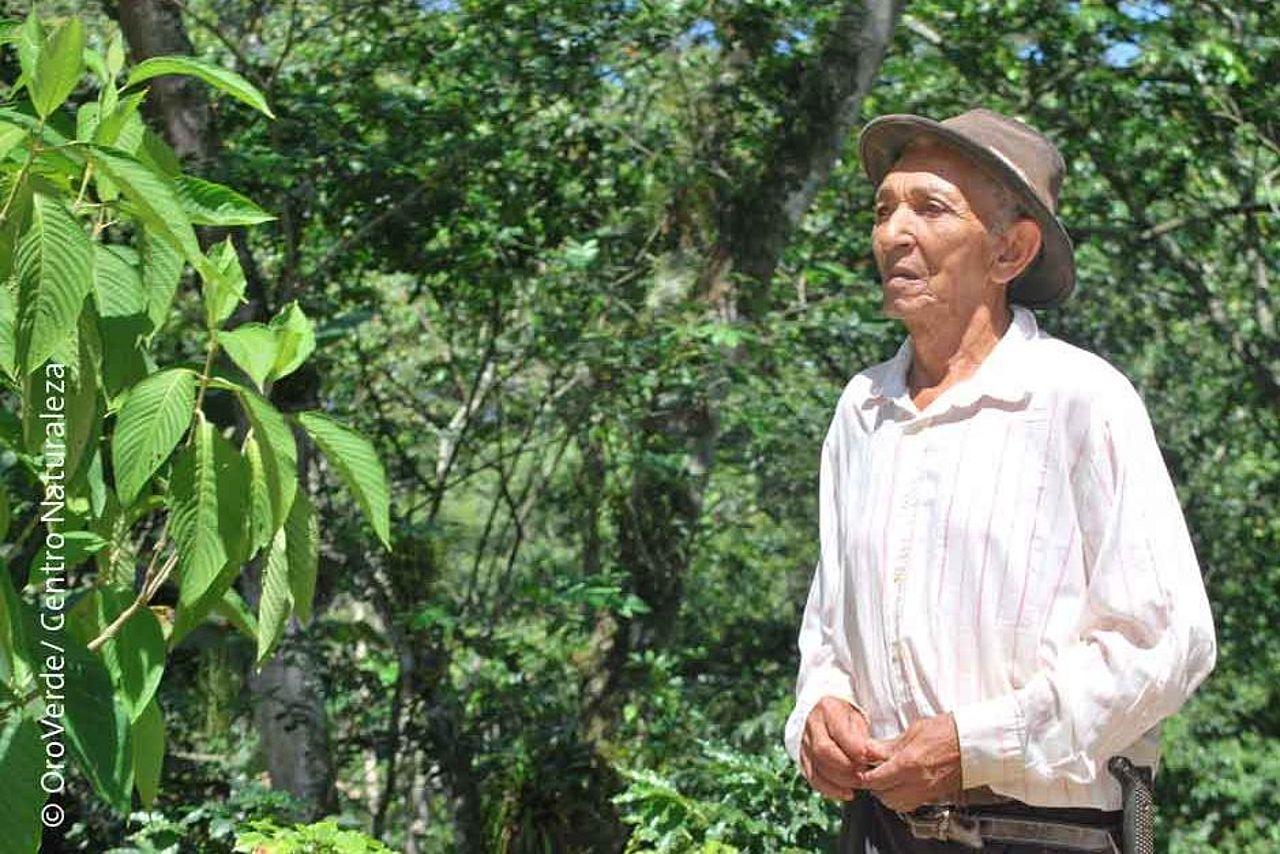 Spenden Sie für innovative Anbaumethoden, wie Agroforstsysteme © Centro Naturaleza