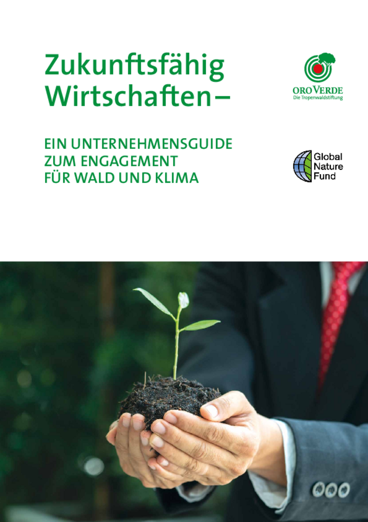 Ein Unternehmensguide zum Engagement für Wald und Klima