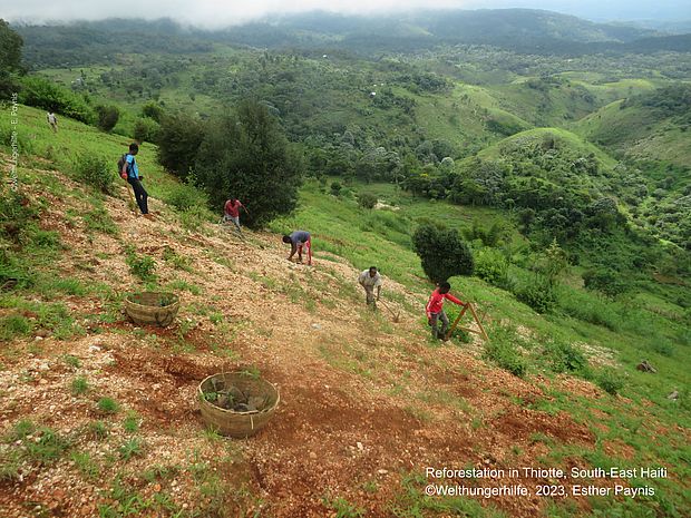 Wiederaufforstung zum Schutz lebenswichtiger Quellen, Thiotte, Südost-Haiti 