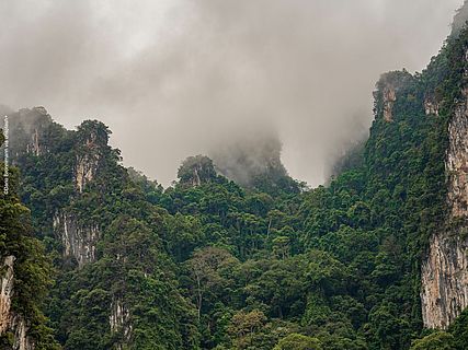 Zwischen schroffen Felsen liegt ein wolkenverhangener Regenwald. 