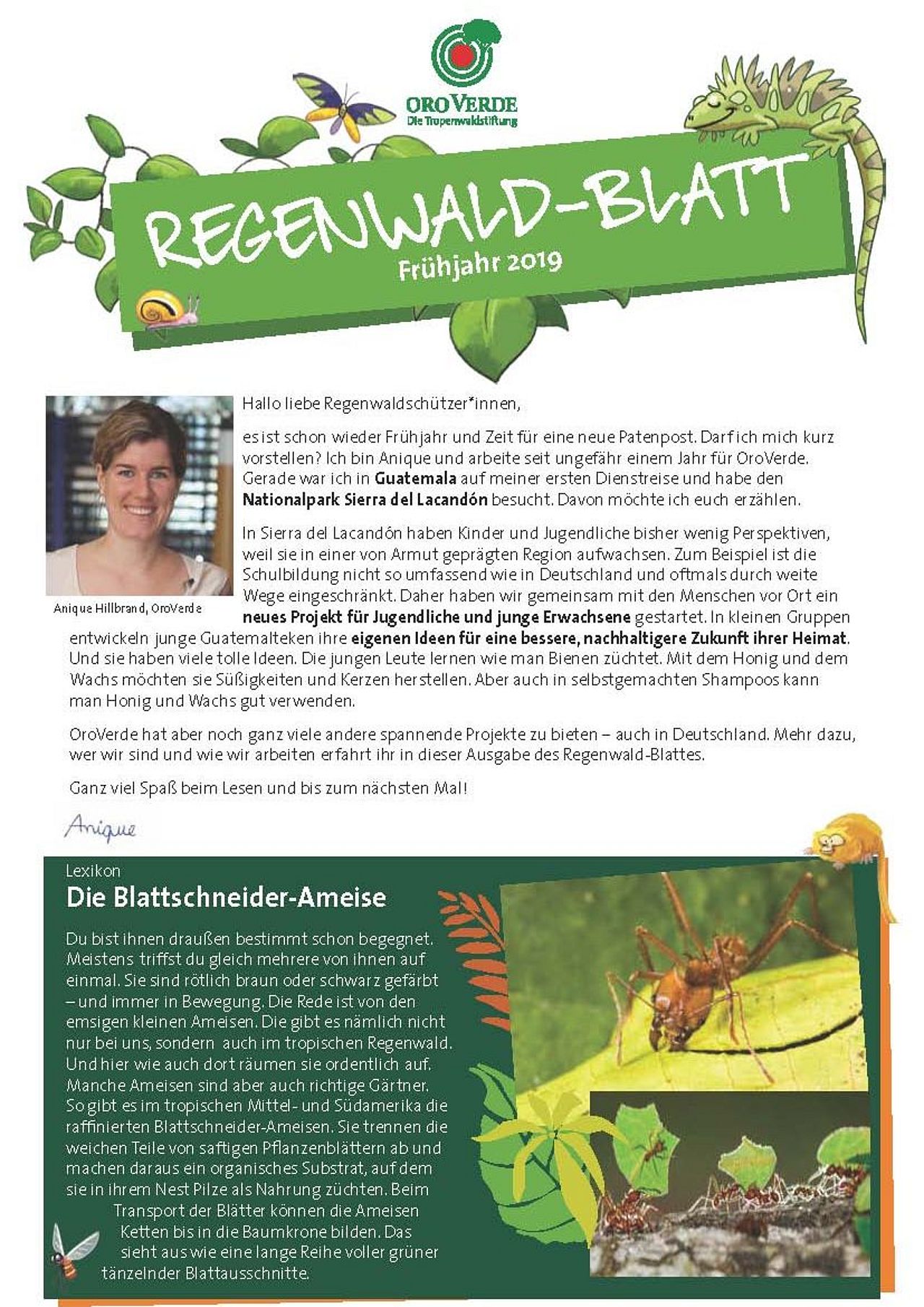 Regenwaldblatt Frühjahr 2019 als PDF