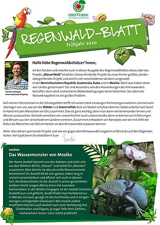 Regenwaldblatt Frühjahr 2020 Regenwaldblatt Frühjahr 2020
