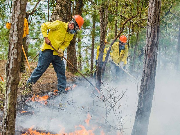 OroVerde bildet gemeinsam mit Partnerorganisationen Bewohner*innen zu Ersthelfer*innen aus. Sie halten das Feuer im Wald in Schach, bis die Feuerwehr mit größerem Löschgerät anrückt. ©FDN