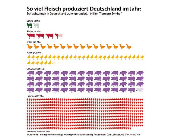 Soja & Fleischkonsum: So viele Tiere wurden 2020 für unseren Fleischkonsum geschlachtet. ©OroVerde