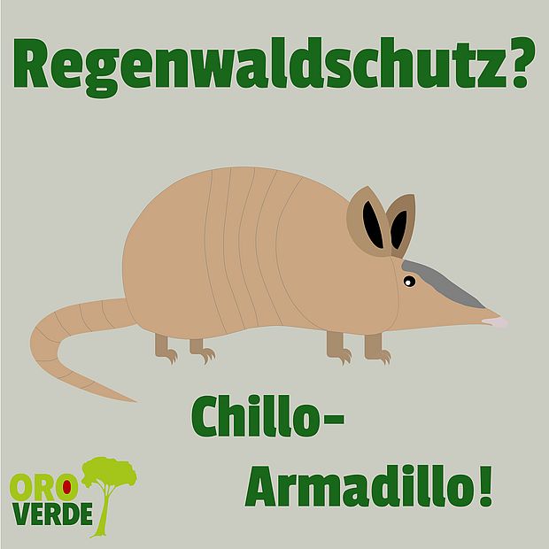 Regenwaldschutz? Chillo-Armadillo!