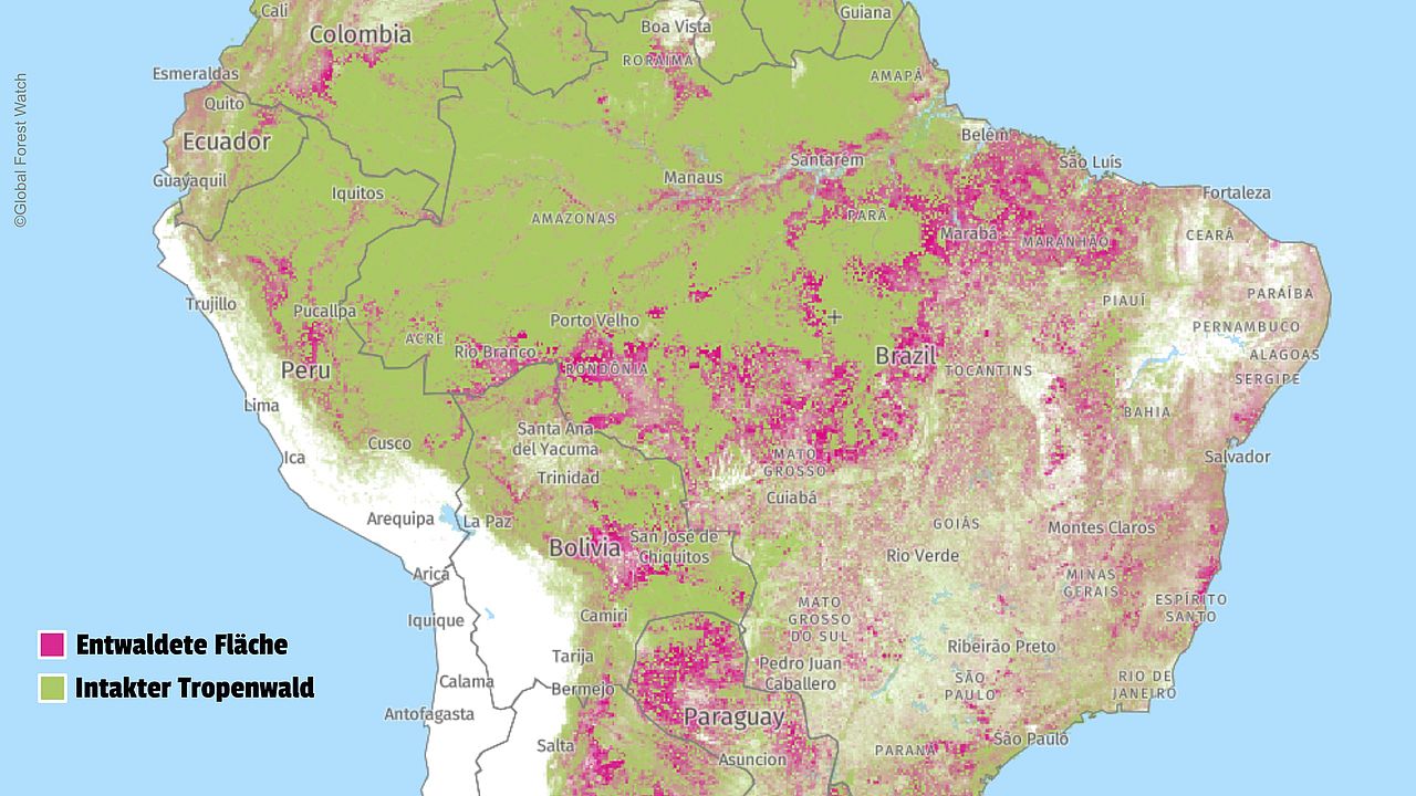 Stand der Amazonas-Entwaldung im Jahr 2017. 