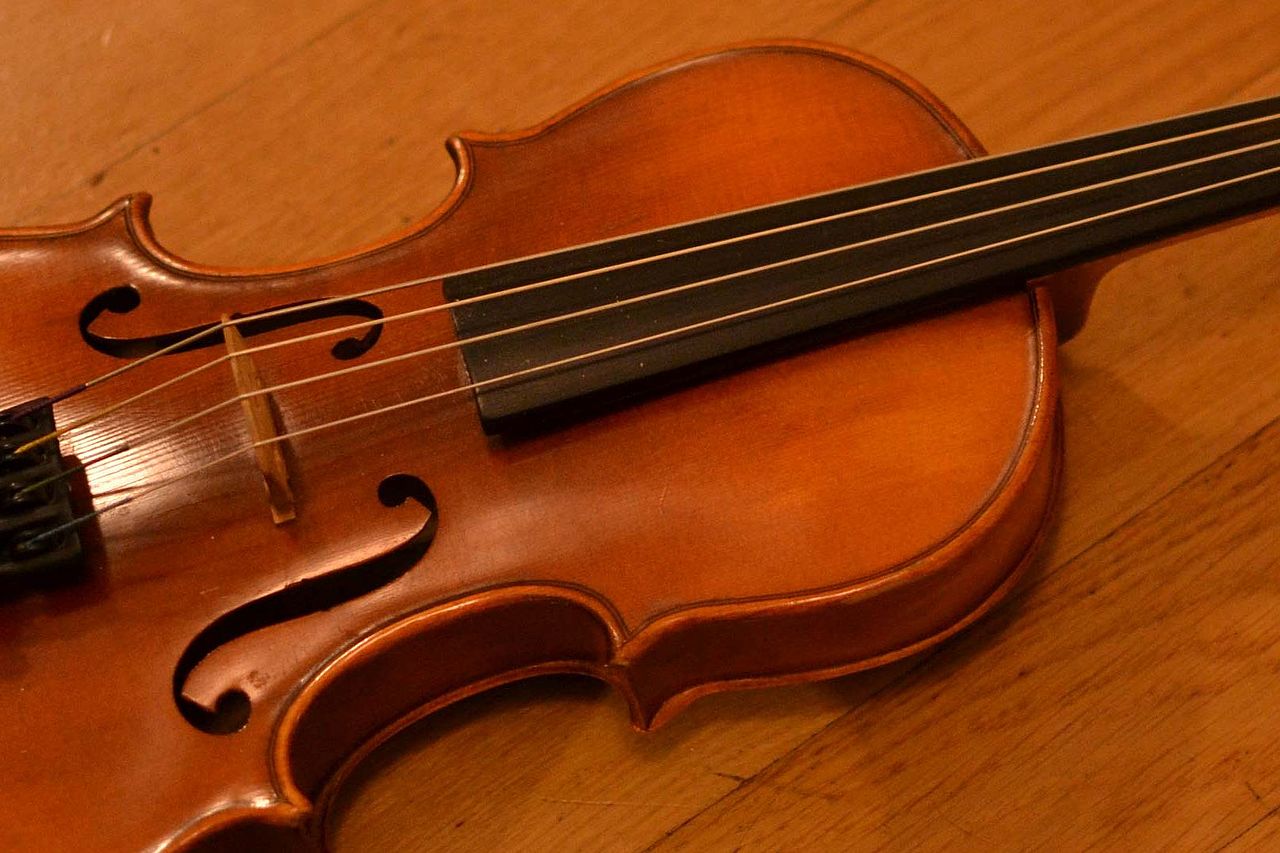 Tropenholz Verwendung Musikinstrumente Geige