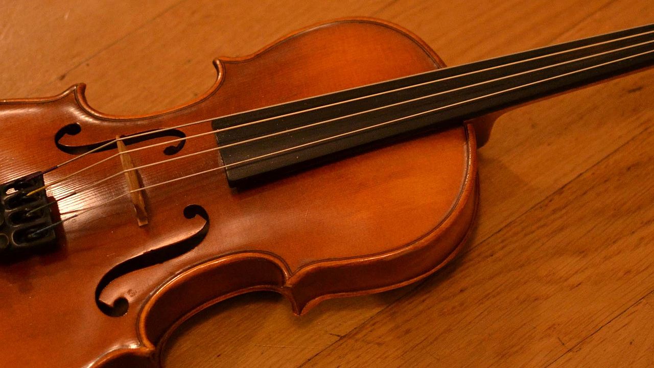 Tropenholz Verwendung Musikinstrumente Geige