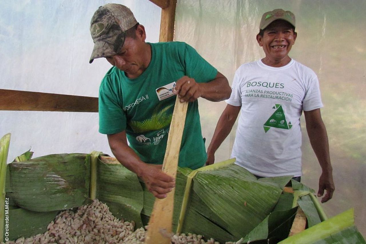 Die gemeinschaftliche Weiterverarbeitung der Kakao-Ernte ist immer ein Ereignis ©OroVerde/M.Metz