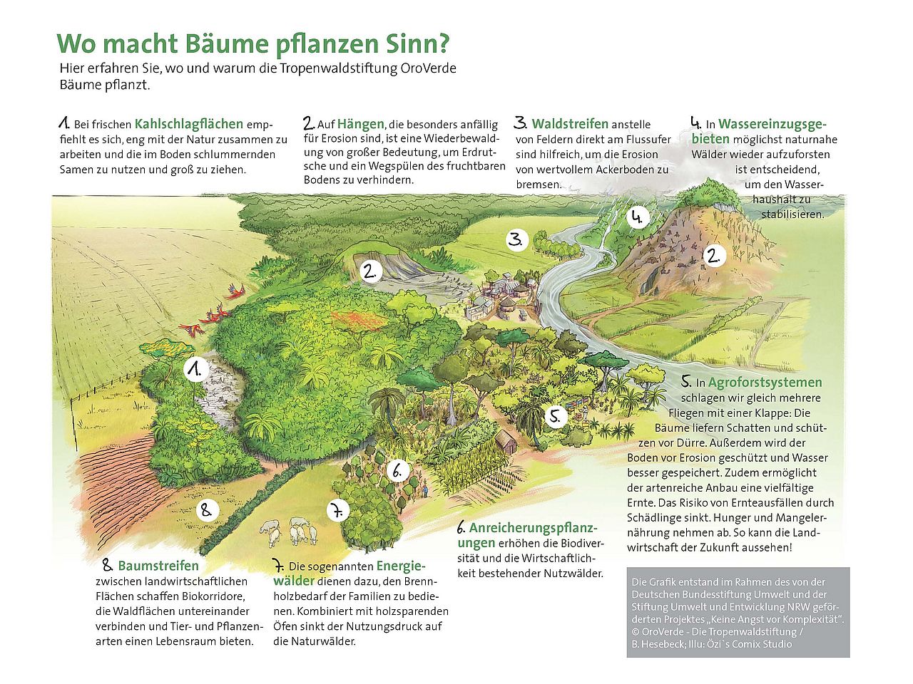 Wo macht Bäume pflanzen Sinn?
