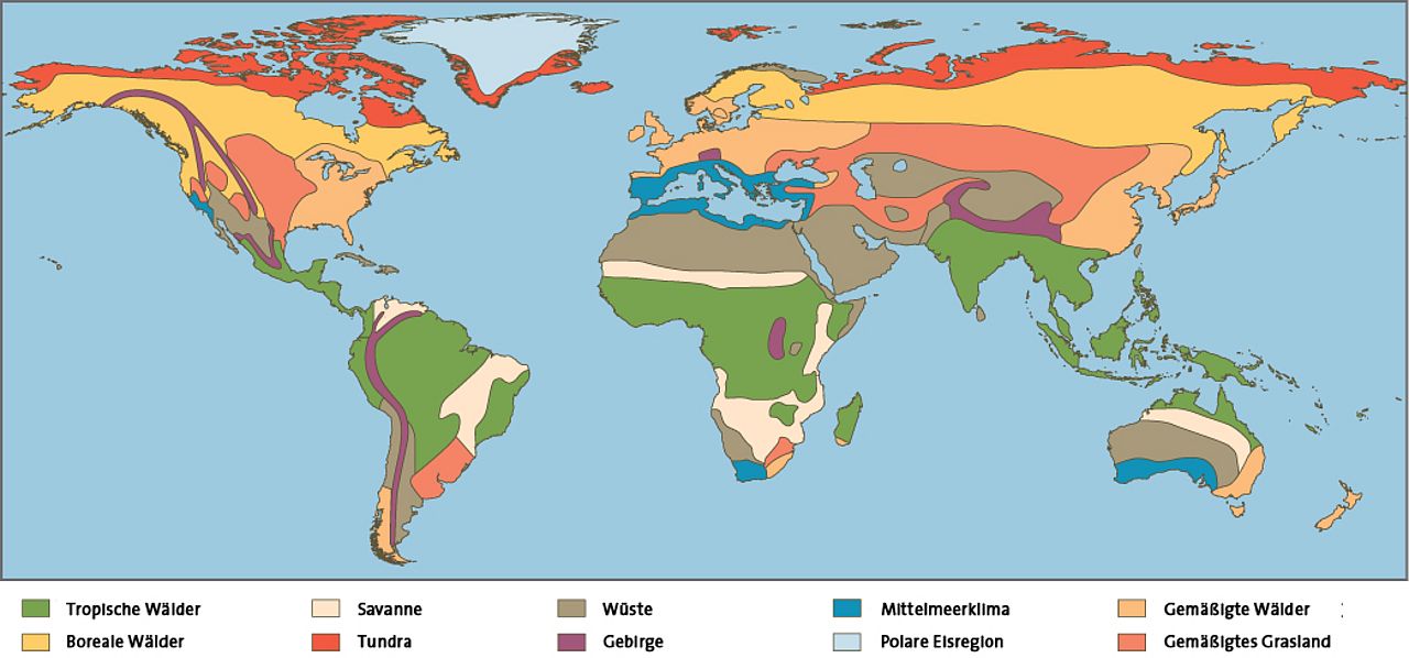 Biodiversität und Ökosysteme - die Biome der Welt in einer Übersicht