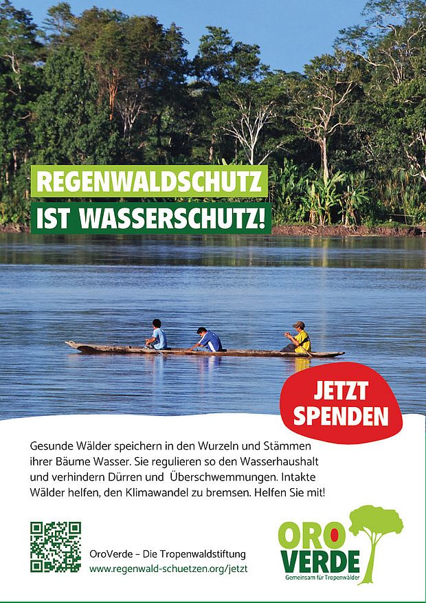 Freianzeige: Regenwaldschutz ist Wasserschutz © OroVerde