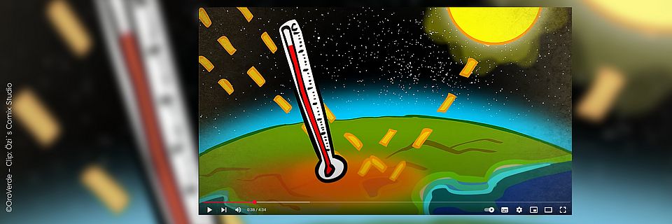 Filme zu Regenwaldthemen