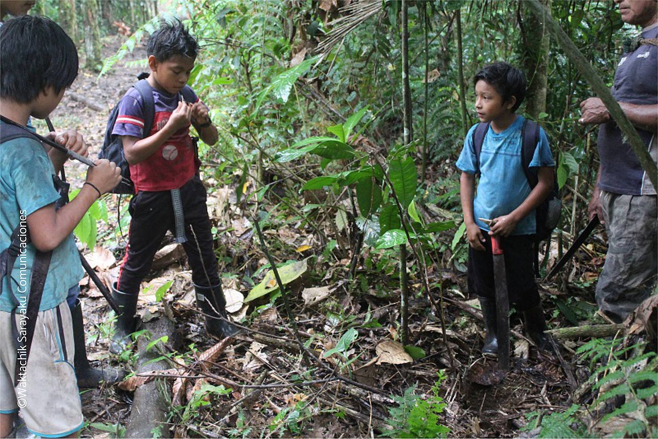 Jugendliche aus Sarayaku erkunden den Regenwald nach Medizinpflanzen.  ©Waktachik Sarayaku Comunicaciones