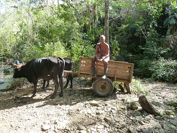 Mann auf Wagen im Nationalpark ©OroVerde-E.Mannigel