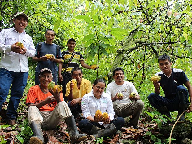 Eine Gruppe von lächelnden Bewohner*innen der Tropenwaldregionen hält Kakaofrüchte in die Kamera. Sie befinden sich inmitten eines Agroforsts. 