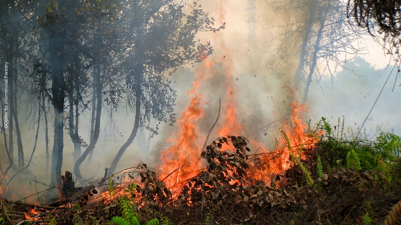 Waldbrand in Indonesien ©Center for International Forestry Research