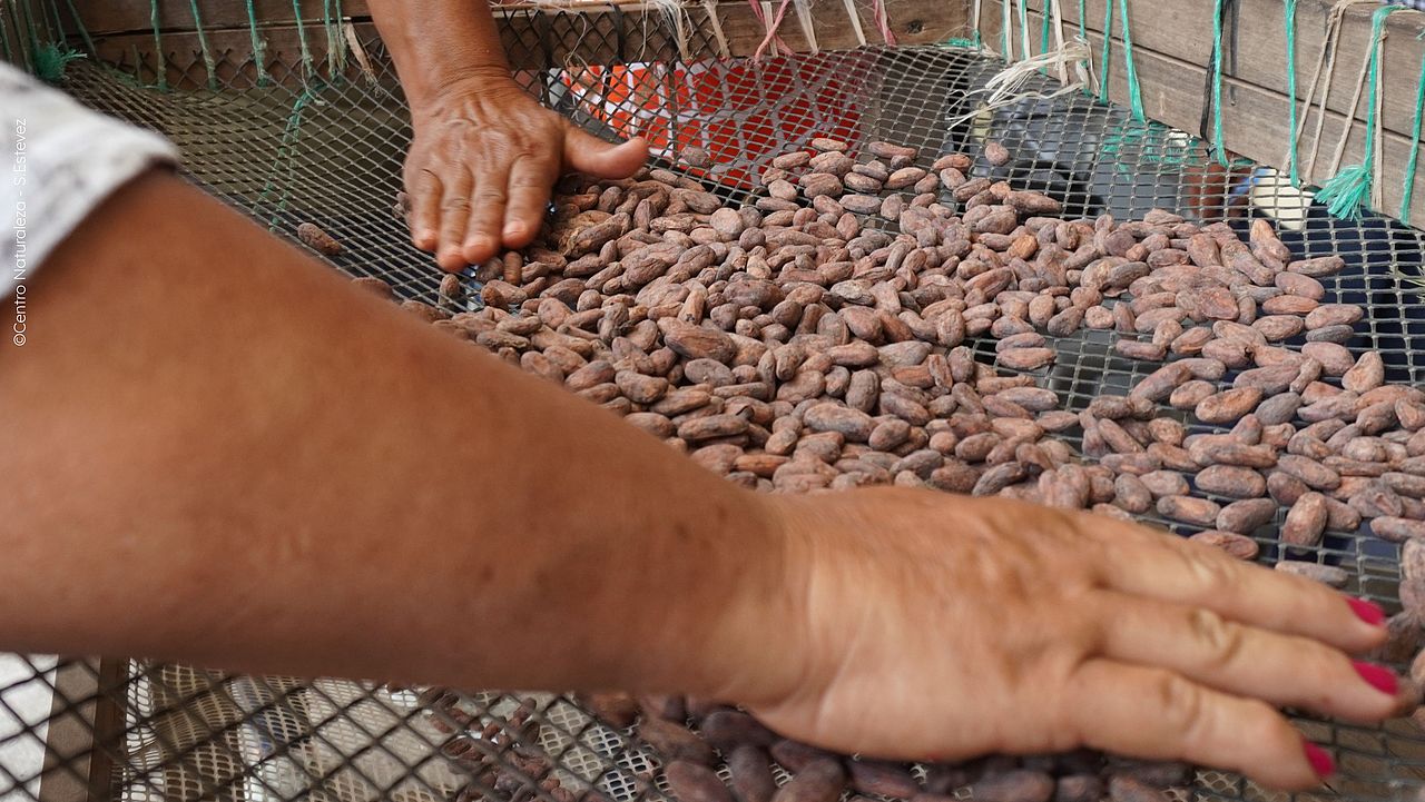 das Bild zeigt die kakao-Weiterverarbeitung