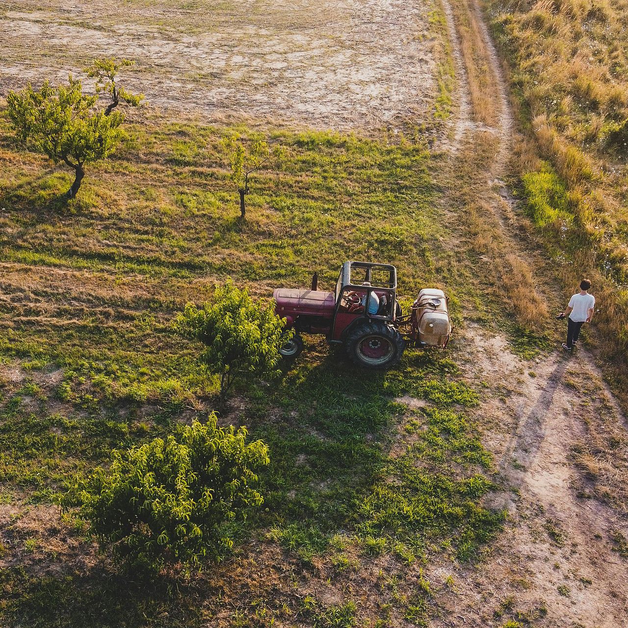 Landwirtschaft und Klimawandel
