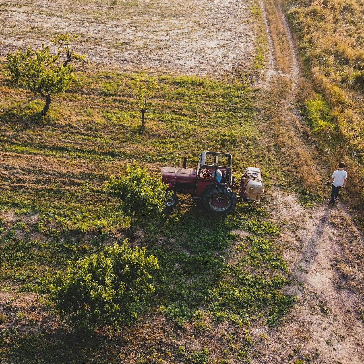 Landwirtschaft in den Tropen