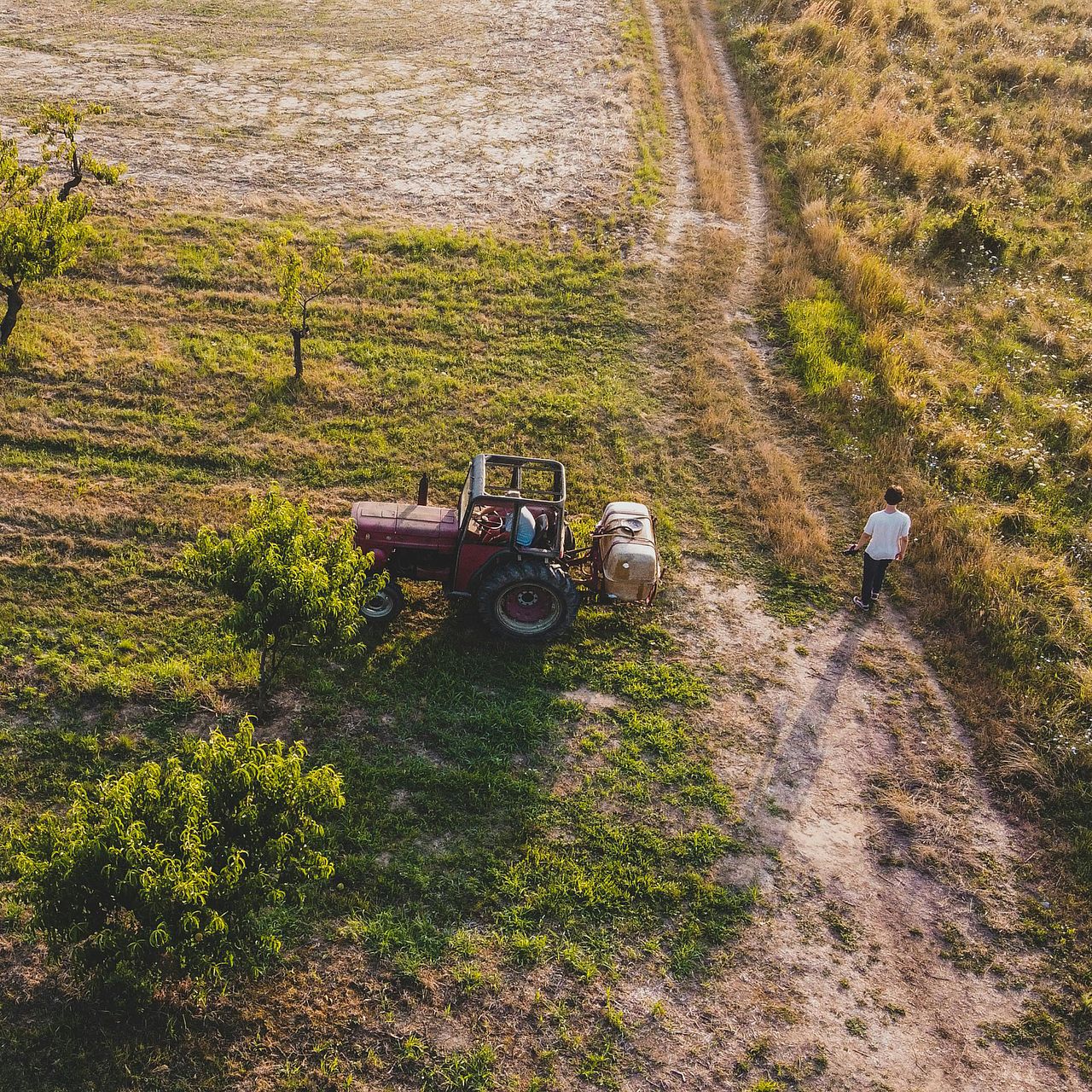 Landwirtschaft und Klimawandel