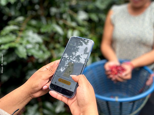 Auf einem Handy ist Sirio geöffnet. Das Handy ist auf eine Person gerichtet, die Kaffeebohnen in den Händen hält.