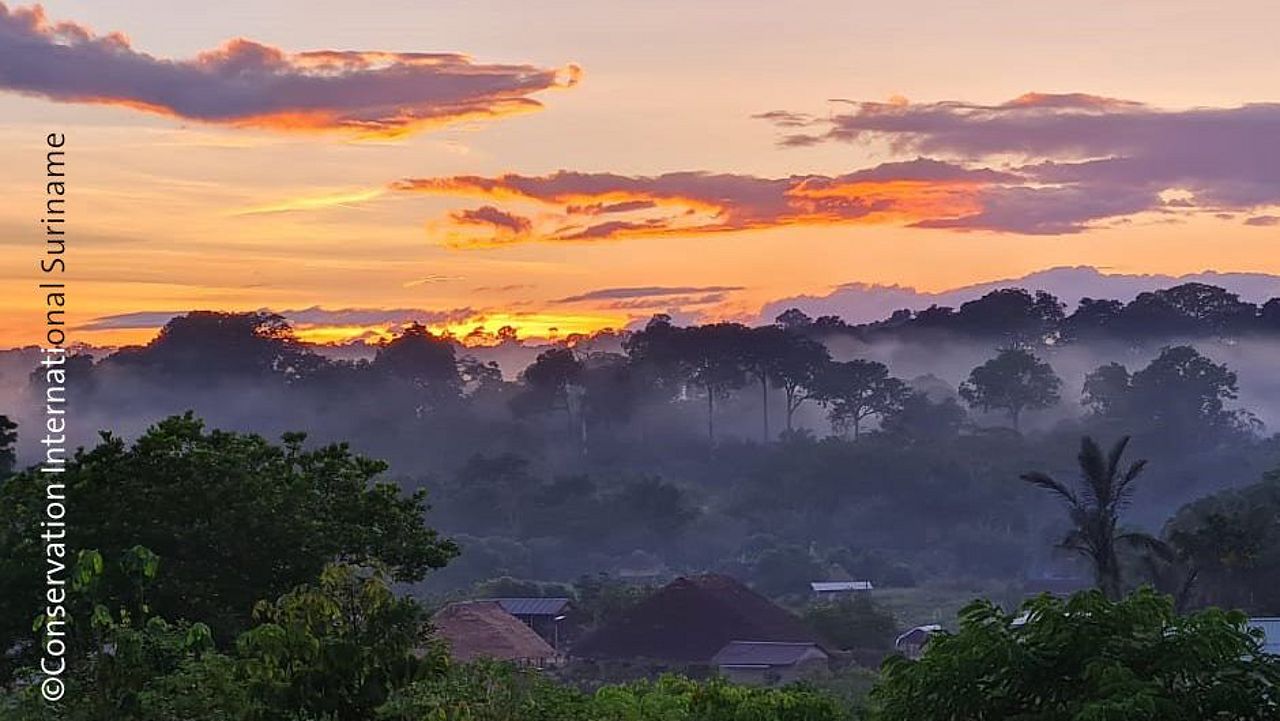 Spenden für regenwaldschutz ©Conservation International-Suriname