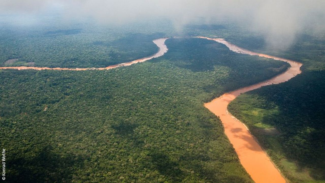 Regenwald mit Fluss von Oben © Konrad Wothe