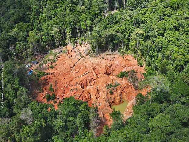 Die Rodung von Tropenwald ist der erste Schritt zum Abbau von Gold im Tropengürtel. ©Martin Harvey
